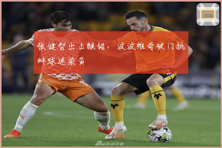 张健智出击酿错，波波维奇破门挑衅球迷染黄