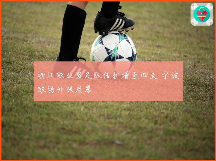 浙江职业男足队伍扩增至四支 宁波球场升级启幕