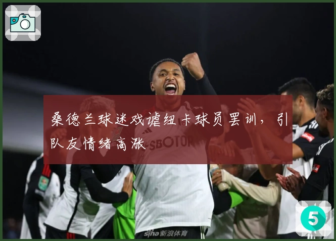 桑德兰球迷戏谑纽卡球员罢训，引队友情绪高涨