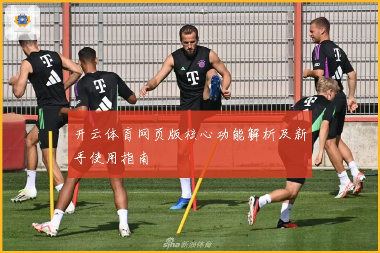 开云体育网页版核心功能解析及新手使用指南
