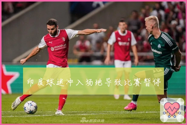 印度球迷冲入场地导致比赛暂停